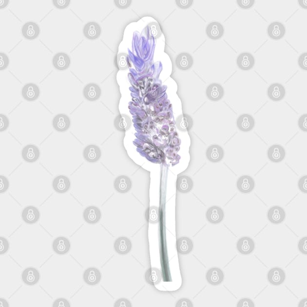 Lavender Flower Illustration Sticker by Deardarling